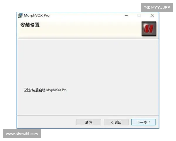 MorphVox Pro使用技巧与功能深度解析及实用优化指南 MorphVox Pro使用技巧与功能深度解析及实用优化指南