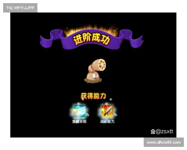 打造完美射手从基础到进阶的实用技巧与玩法解析 打造完美射手从基础到进阶的实用技巧与玩法解析